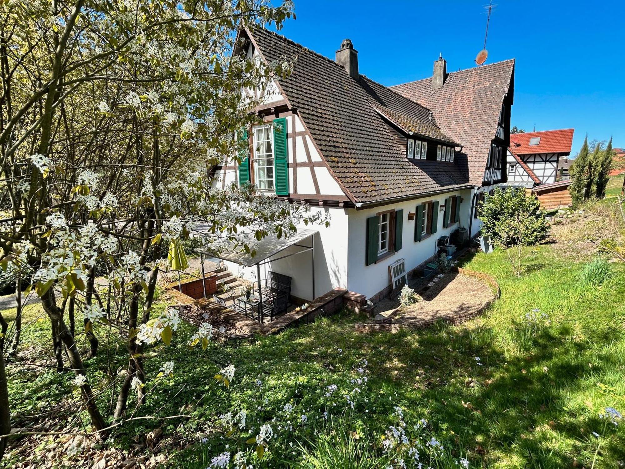 Ferienwohnung Am Keschtebaum, 70Qm Засбахвальден Екстер'єр фото